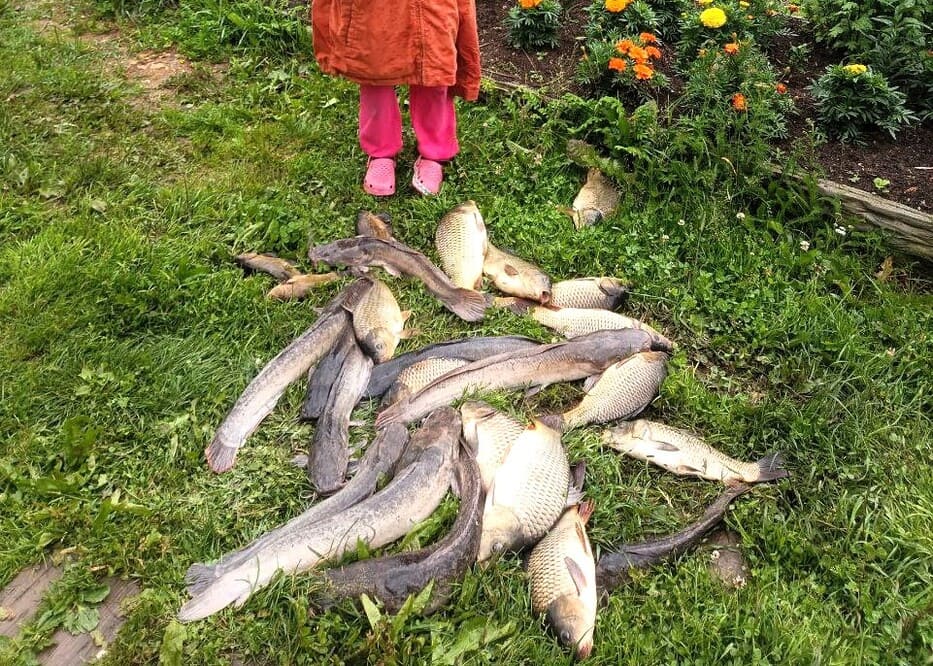 Аренда офиса  